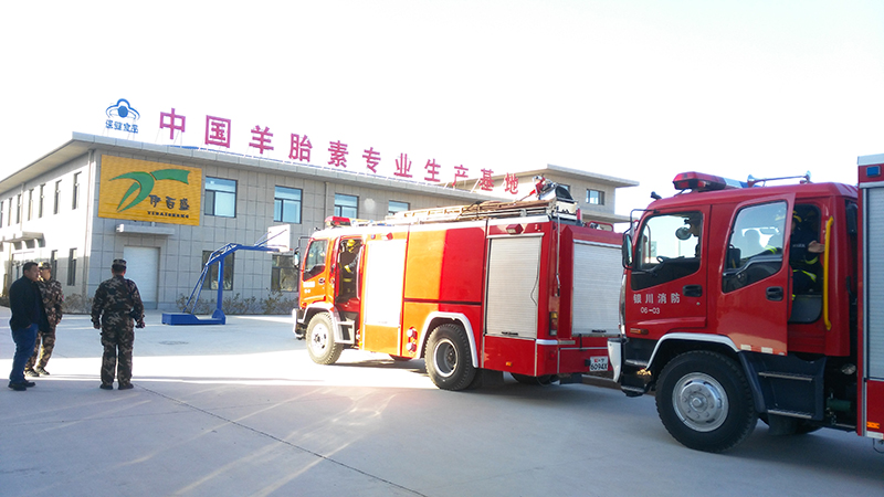 銀川伊百盛生物工程有限公司 銀川伊百盛生物工程有限公司