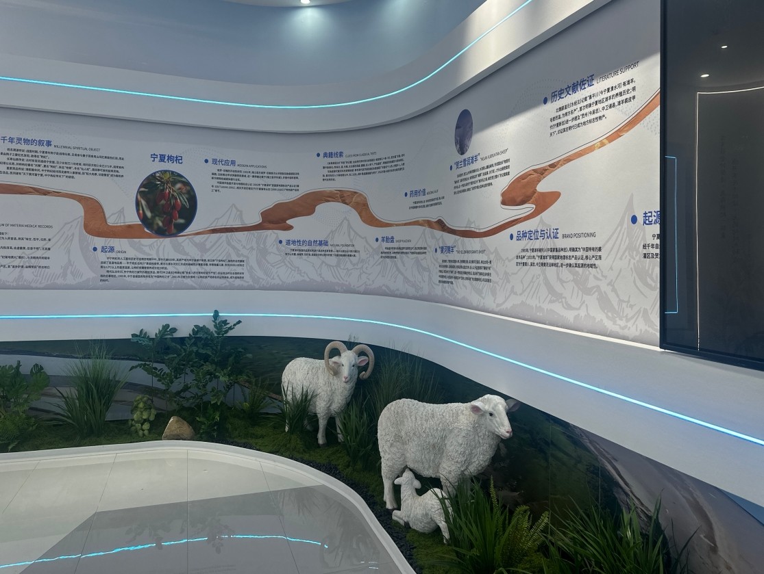 銀川伊百盛生物工程有限公司 銀川伊百盛生物工程有限公司