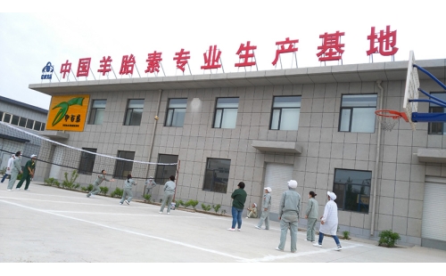 團(tuán)結(jié)合作，快樂迎五一