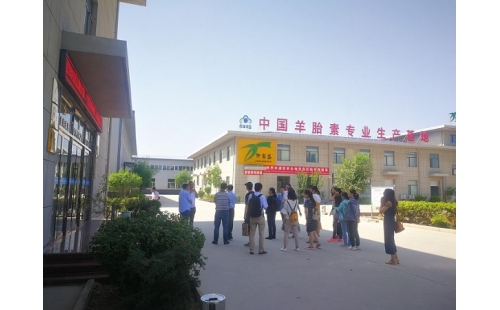 江南大學(xué)、寧夏大學(xué)課題組專家蒞臨伊百盛調(diào)研交流