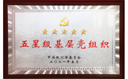 喜報(bào)！伊百盛黨支部榮獲“五星級(jí)基層黨組織”稱號(hào)
